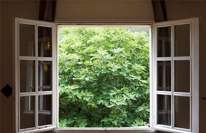 整木定制裝修完如何去除甲醛味道？(圖1)